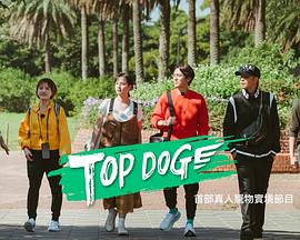 P站视频《TOP DOG》免费在线观看